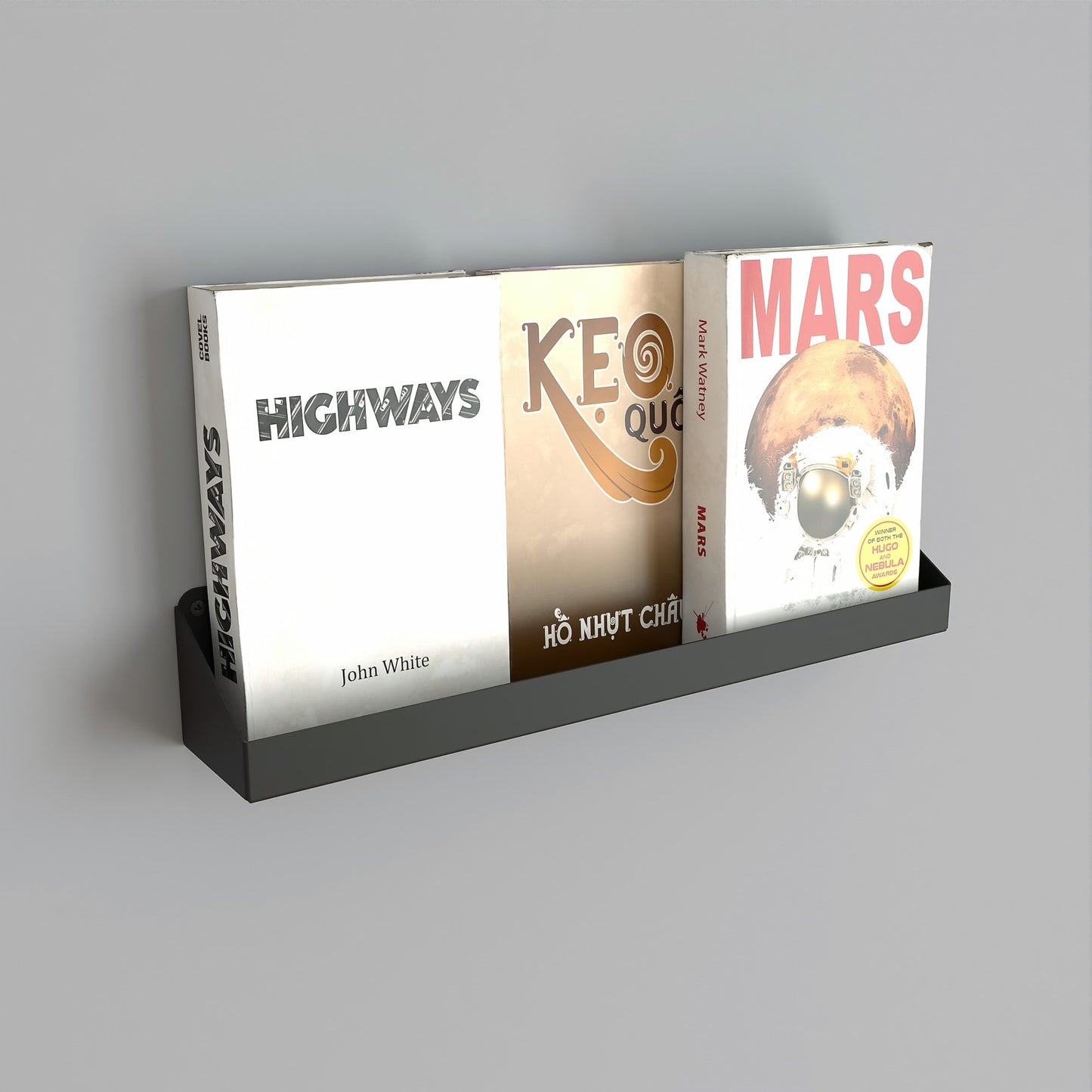 LUMINA Modern Metal Wall-Mounted Bookshelf