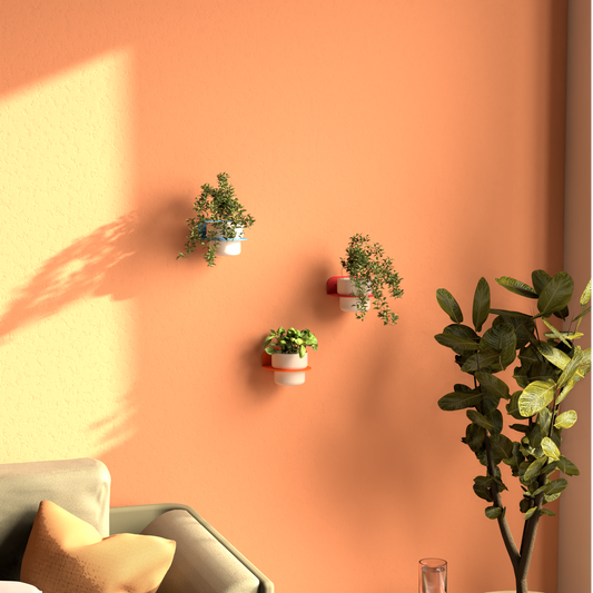 FOLIA Wall Plant Shelf - Half Moon Planter | DnzHomeDesign