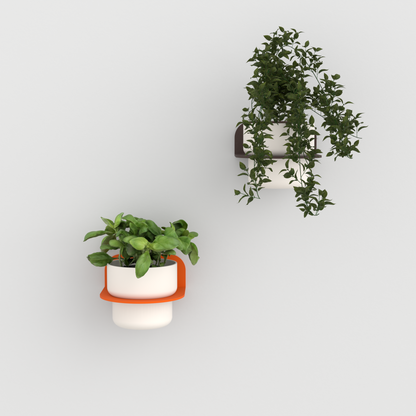 FOLIA Wall Plant Shelf - Floating Half-Moon Planter Holder