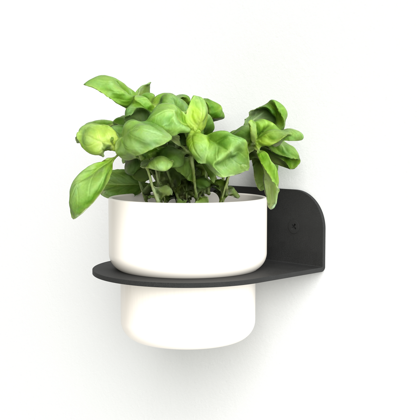 FOLIA Wall Plant Shelf - Floating Half-Moon Planter Holder