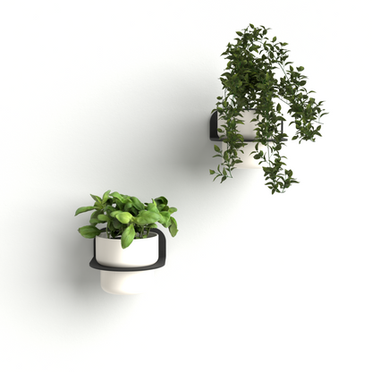 FOLIA Wall Plant Shelf - Floating Half-Moon Planter Holder