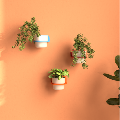 FOLIA Wall Plant Shelf - Floating Half-Moon Planter Holder